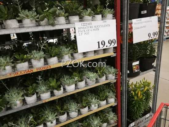 IMG_20180618_141844 (550x413) IMG_20180618_141844 (550x413)
