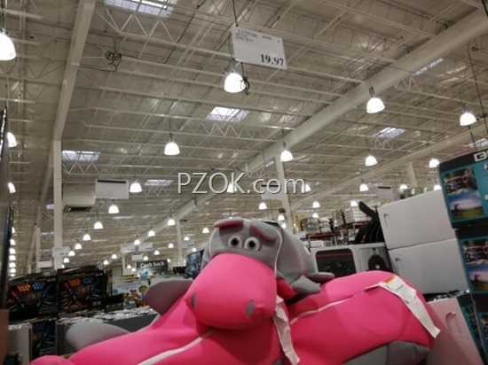 IMG_20180917_191611 (600x450) IMG_20180917_191611 (600x450)