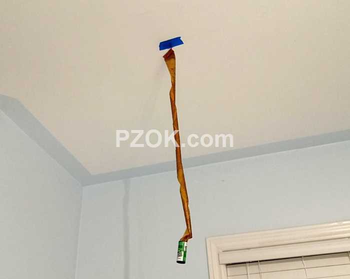 Fly Ribbon - pzok.com