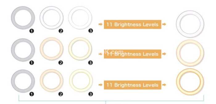 LED Ring Light - pzok.com