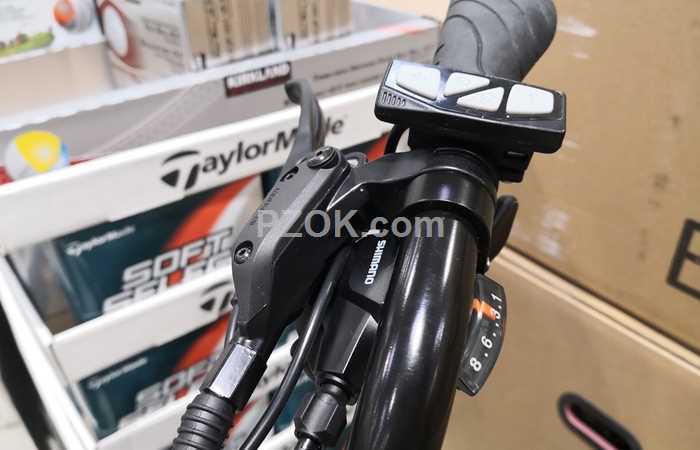 EbGo CC50 Electric Bicycle - pzok.com